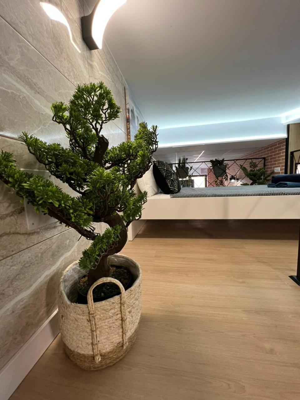 Carcaixent 24 Aparthotel Valencia Bagian luar foto